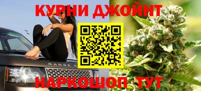 ALPHA PVP Камышлов