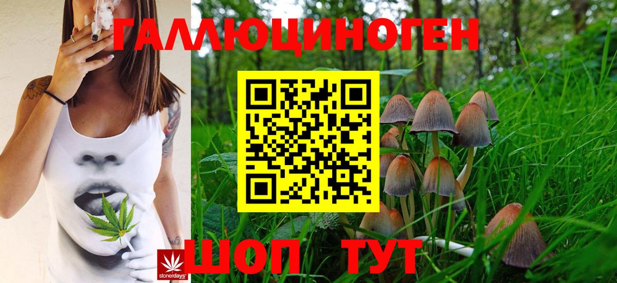 Галлюциногенные грибы GOLDEN TEACHER Тимашёвск